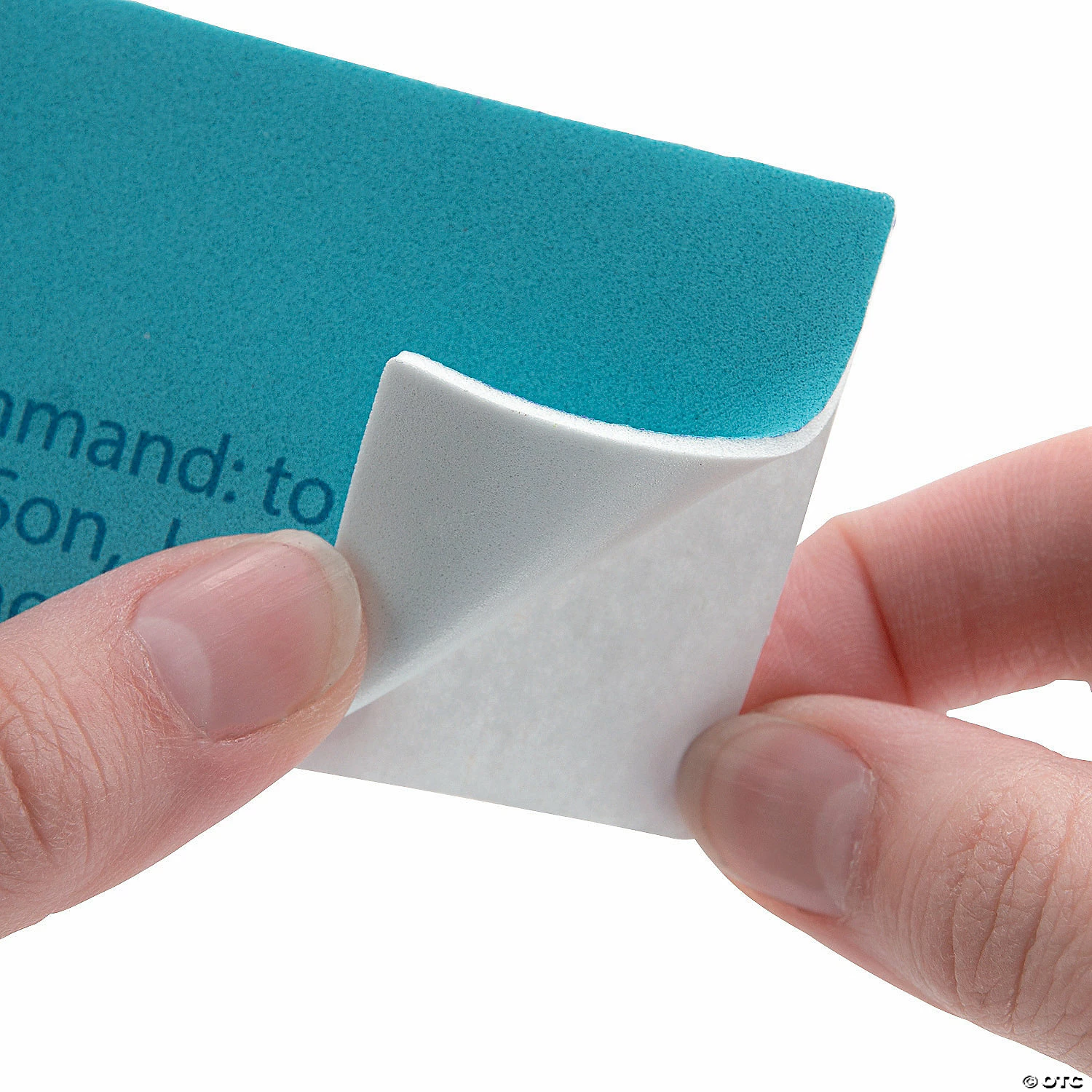 Flash Sale ๐ Always Believe Arctic Sign Craft Kit ๐ฅฐ 5 Flash Sale ๐ Always Believe Arctic Sign Craft Kit ๐ฅฐ - Image 3