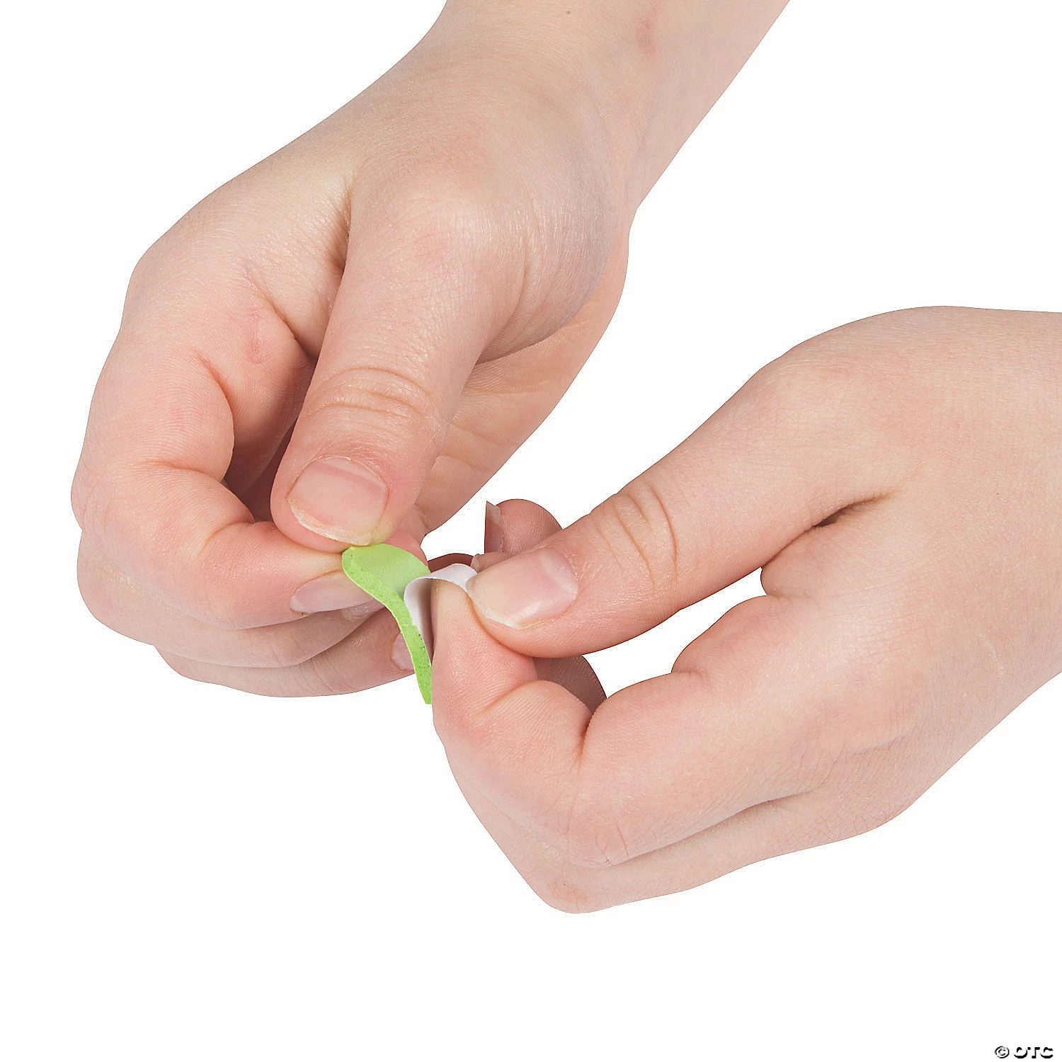 Best Pirce ๐ Spring Bird Nest Sign Craft Kit - Makes 12 ๐ 5 Best Pirce ๐ Spring Bird Nest Sign Craft Kit - Makes 12 ๐ - Image 3